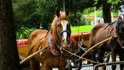 Blejski fijakarji pod drobnogledom: Inšpekcija za enega konja izdala prepoved dela zaradi shujšanosti
