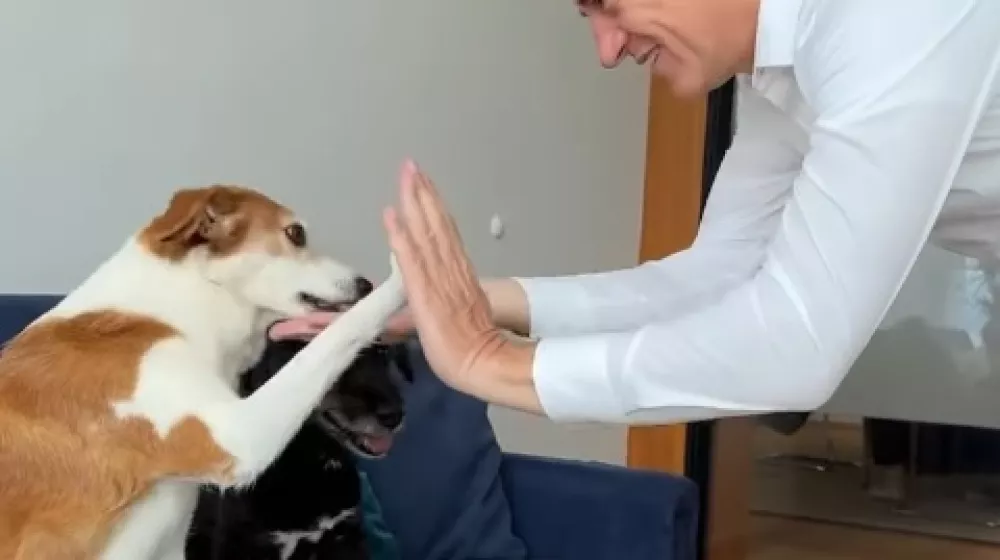 Takole je predsednik vlade Robert Golob z »daj mi petko« proslavil vnovično potrditev novele zakona o zaščiti živali. Foto: Instagram