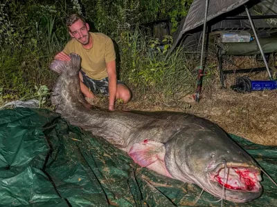 Ribič Klemen Berce je v Vipavi ulovil skoraj 2,5 metra velikega soma. 