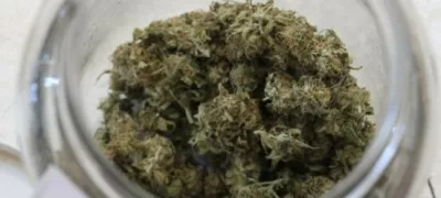 Hišna preiskava v Šmarjeških Toplicah