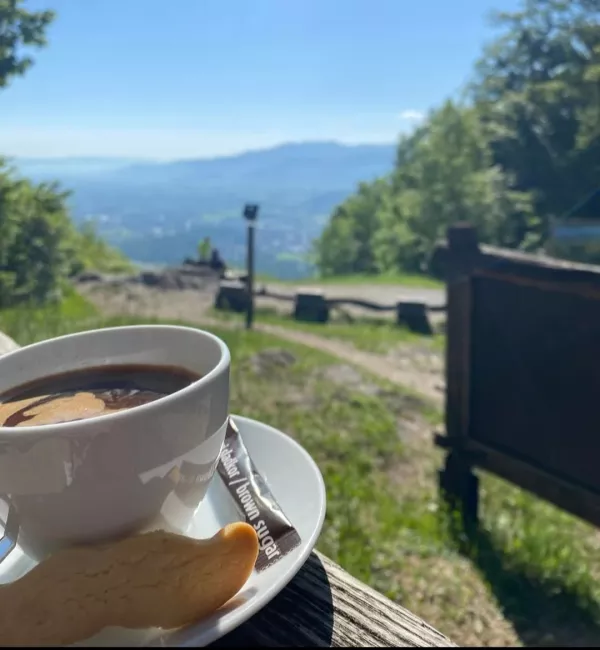 Koča na Planini nad Vrhniko: Gozdni razgled z domačimi štruklji