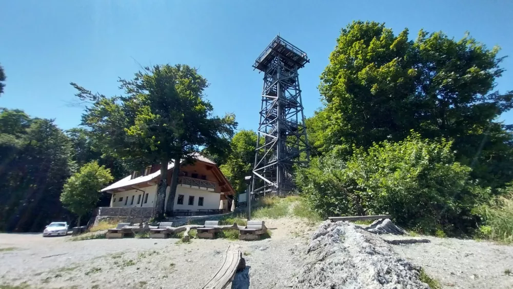 Koča na Planini nad Vrhniko: Gozdni razgled z domačimi štruklji