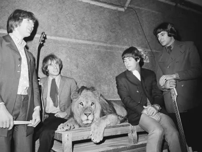 The Troggs so Wild Thing posneli v vsega desetih studijskih minutah. Iz prve. Konec aprila 1966 je skladba izšla v Angliji, maja tudi v ZDA, kjer se je na lestvico uvrstila 25. junija, 30 julija pa postala številka ena. F Getty Images
