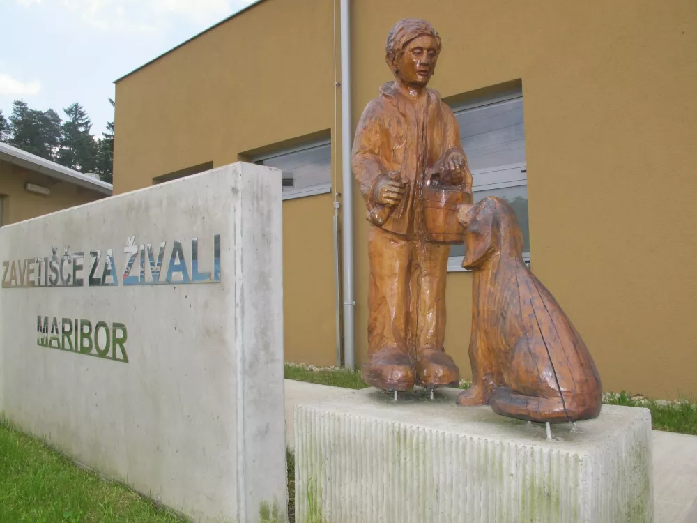 Zavetišče za živali Maribor