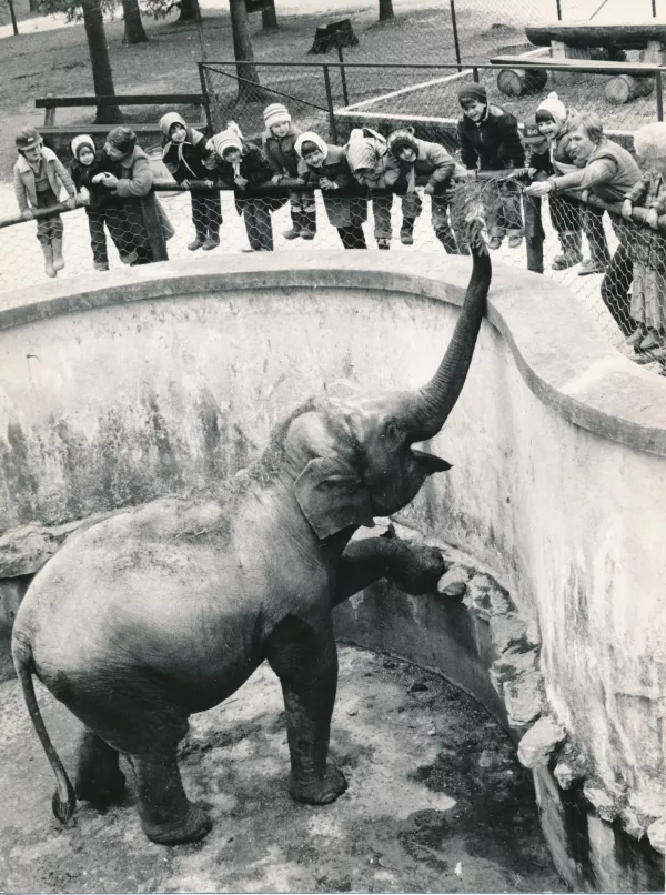 Ganga v mlajših letih