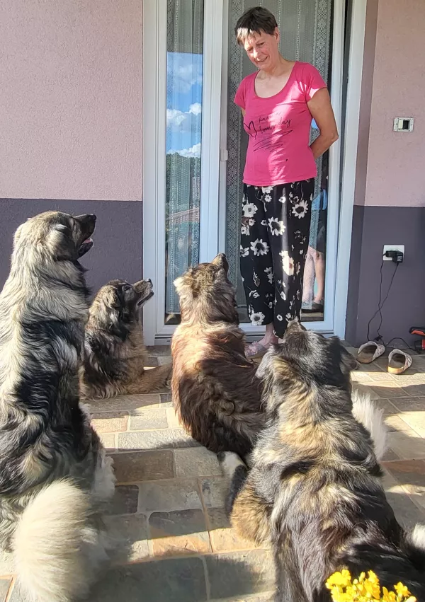 Kraški ovčar, Damjana in Davorin Lisjak, Miliruj / Foto: Katja Gleščič 