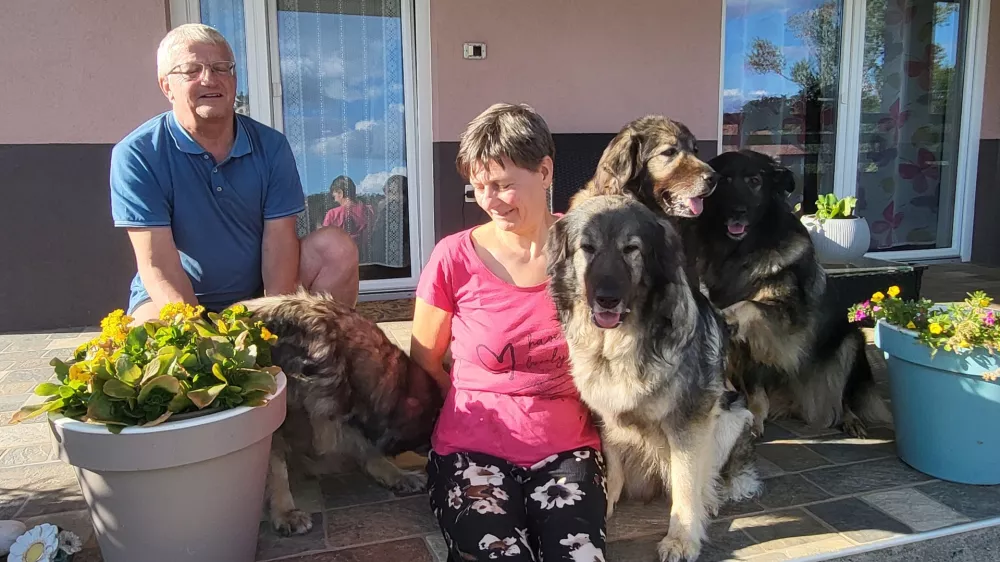 Kraški ovčar, Damjana in Davorin Lisjak, Miliruj / Foto: Katja Gleščič 