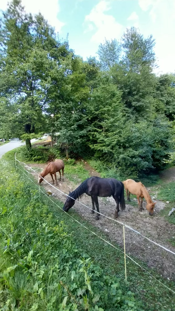 Le pol ure vožnje iz Ljubljane je družinam prijazna izletniška točka