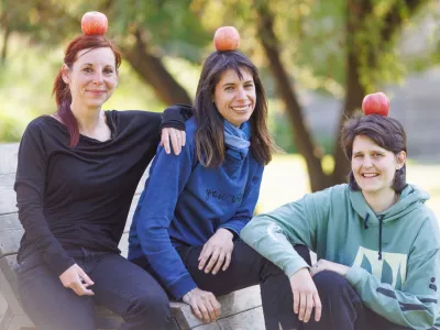 Česen zdravi prehlad. Pa ga res? Koliko je resnice v starih modrostih?