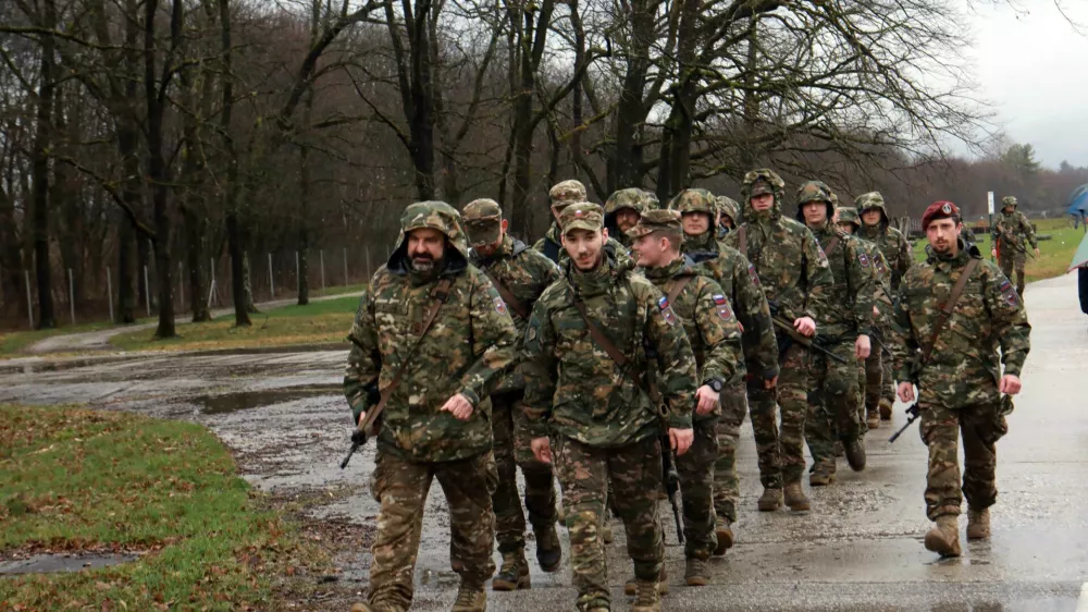 Nabave za obrambo še naprej prek ministrstva