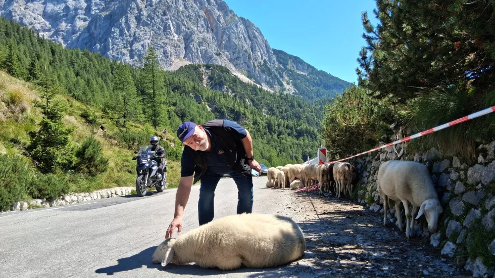 Siniša Germovšek na Vršiču / Foto: Katja Petrovec