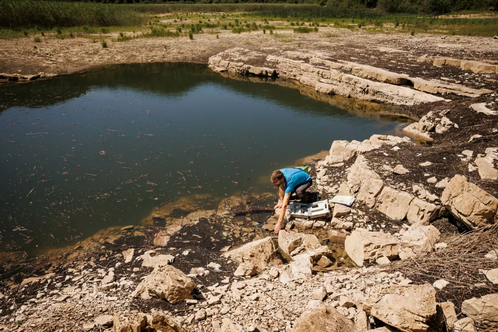 Podnebje in človek spreminjata ekosistem Cerkniškega polja