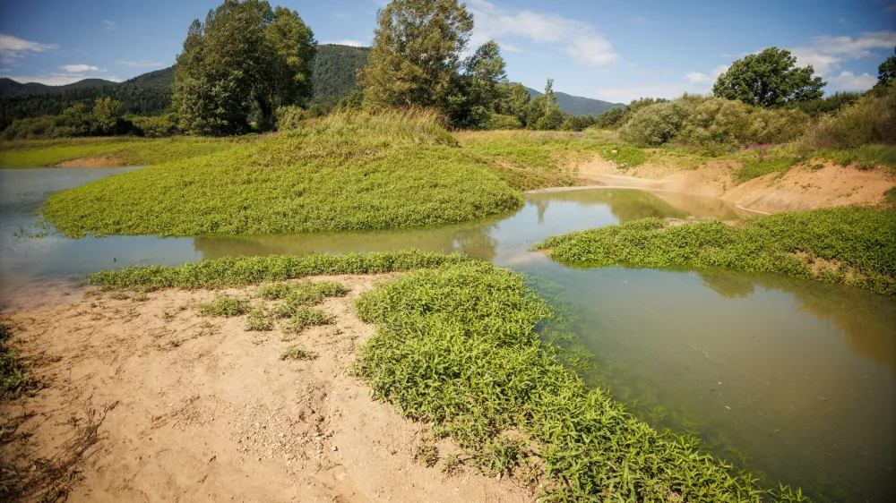 Podnebje in človek spreminjata ekosistem Cerkniškega polja