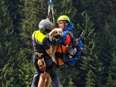 Reševanje zlate prinašalke Nale. Foto: deželna policija Predarlske
