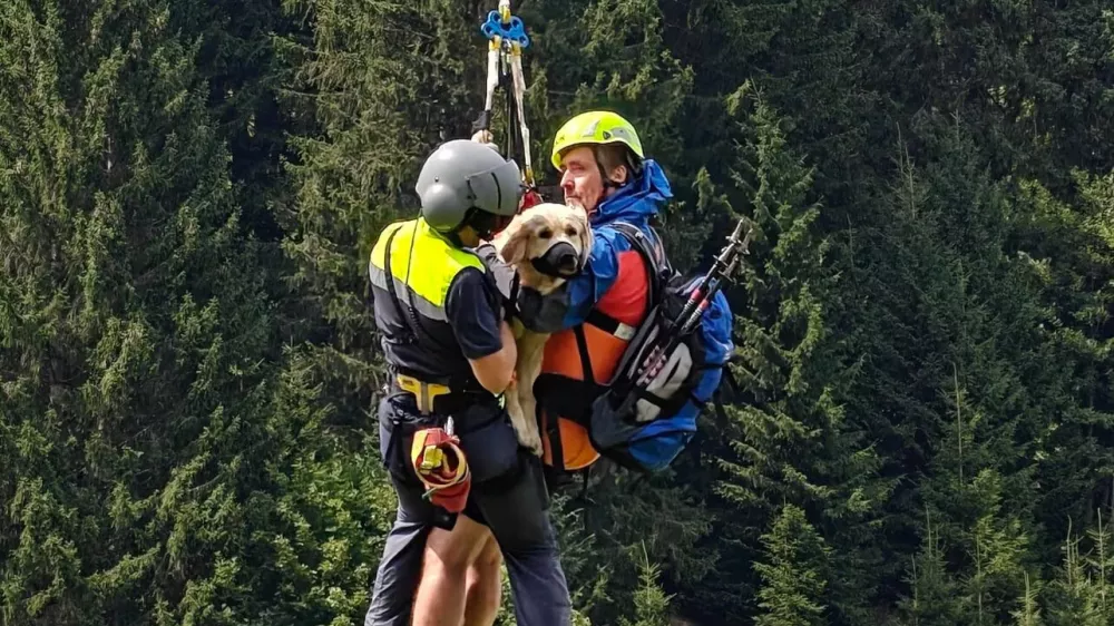 Reševanje zlate prinašalke Nale. Foto: deželna policija Predarlske