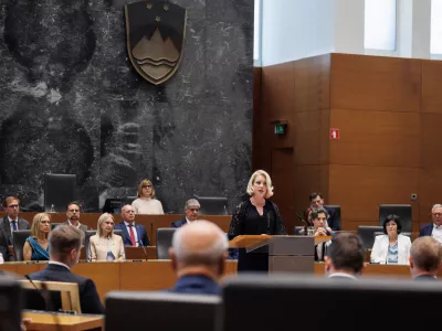 Po enem letu od fiaska v DZ na mizi še ni sprememb