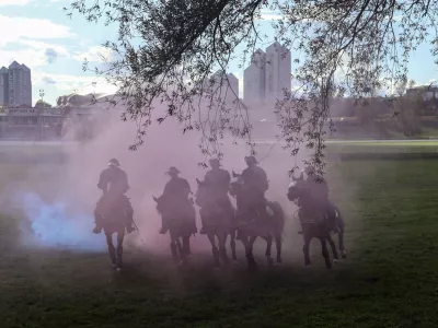 Zaščita živali: Pri usposabljanju nevladnikov vlada kaos