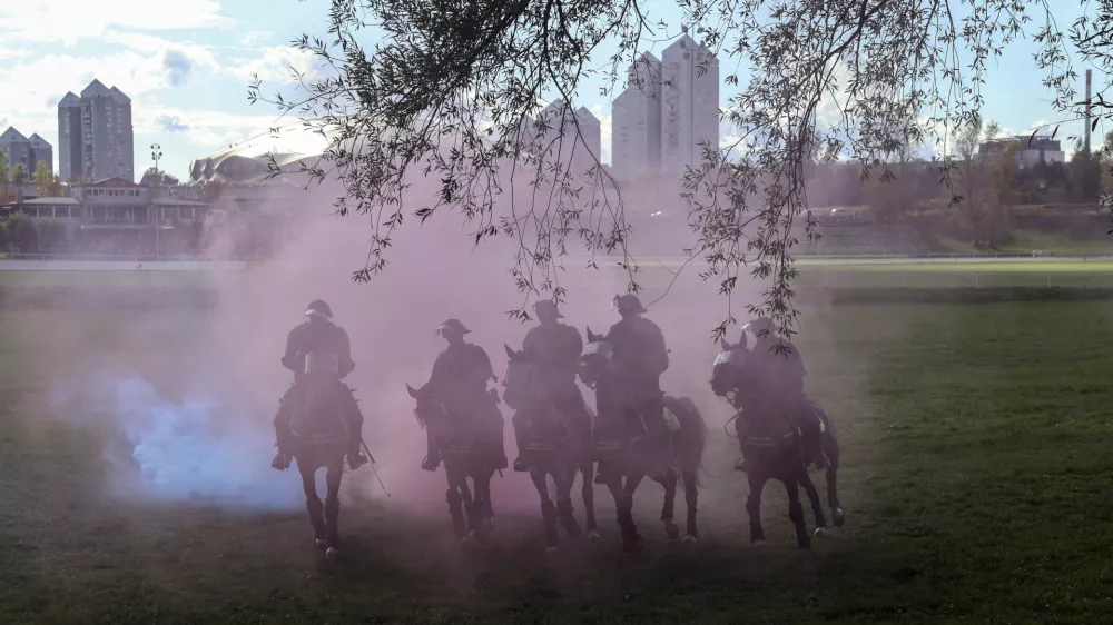 Zaščita živali: Pri usposabljanju nevladnikov vlada kaos