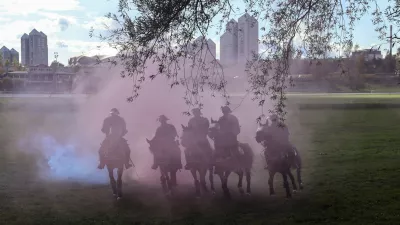 Zaščita živali: Pri usposabljanju nevladnikov vlada kaos