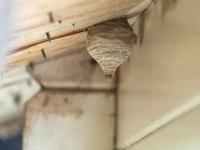 Simbolična fotografija Foto: iStock