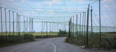 A view of anti-drone nets installed over a road near the frontline town of Dobropillia, amid Russia's attack on Ukraine, in Donetsk region, Ukraine August 10, 2025. REUTERS/Oleksandr Ratushniak