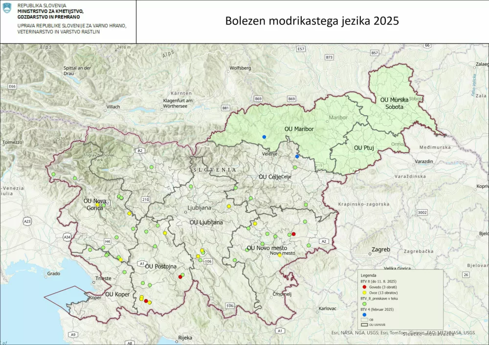 Bolezen modrikastega jezika - razširjenost v 2025. F UVHVVR 
