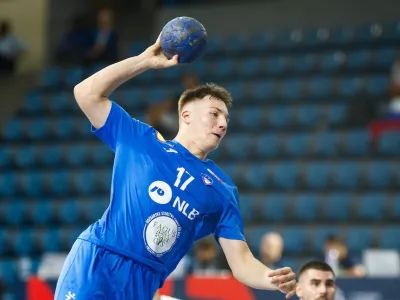 Aljuš Anžič, rokomet