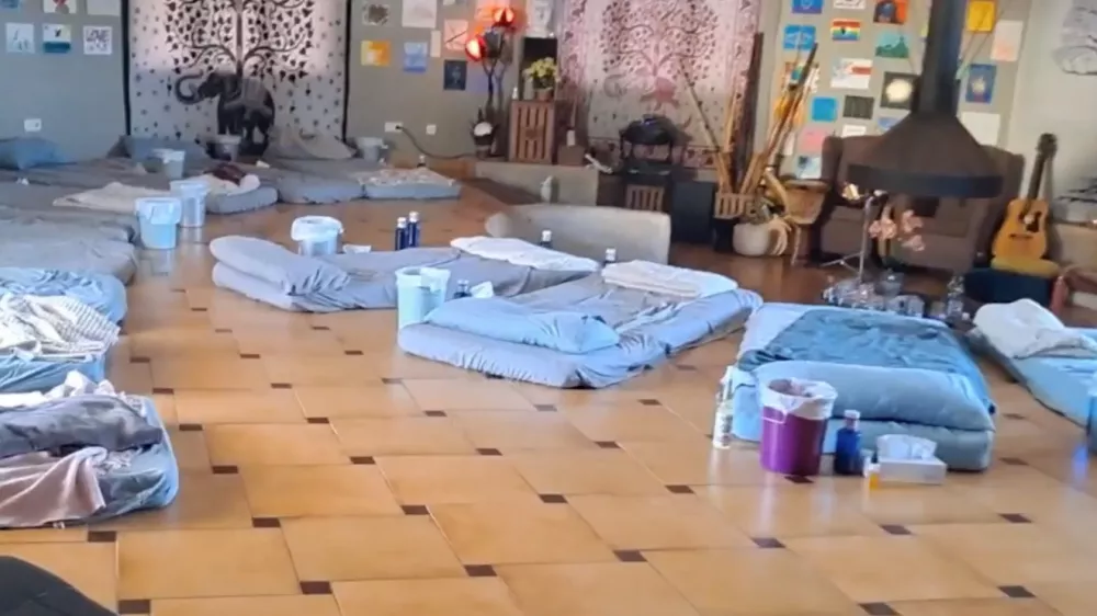 Seanse z ajahuasko, Španija. Duhovno potovanje.san pedro, wachuma, ayahuasca, psihoaktivne snovi