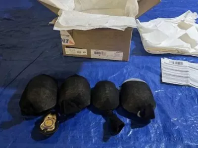 Foto: ameriška uprava za lov in ribolov