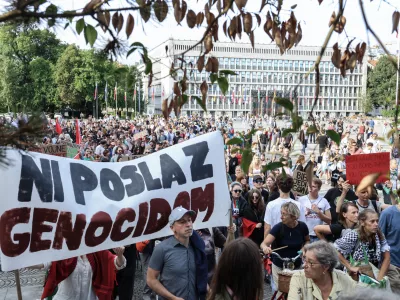 - 06.08.2025 - protest Palestina//FOTO: Jaka Gasar