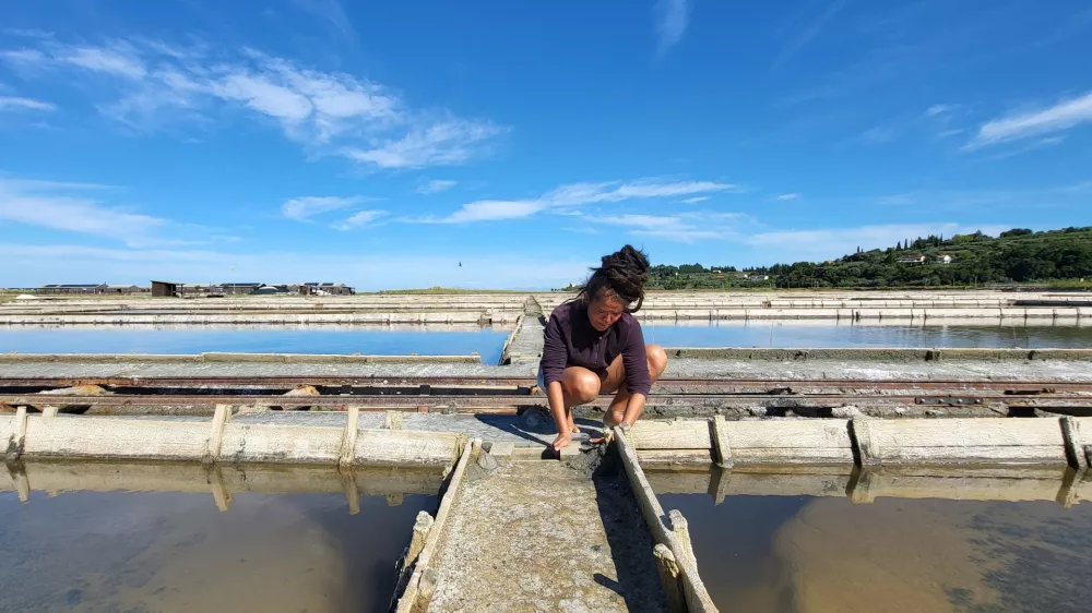 Sečovlje soline, dr. Maja Bjelica 