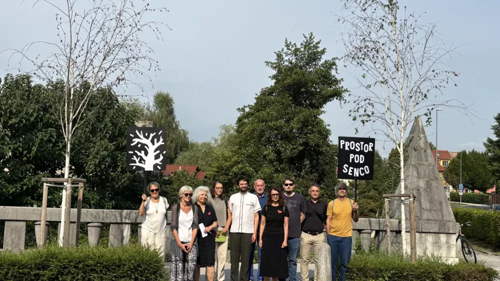 Pismo za zaščito dreves podprlo več strokovnjakov