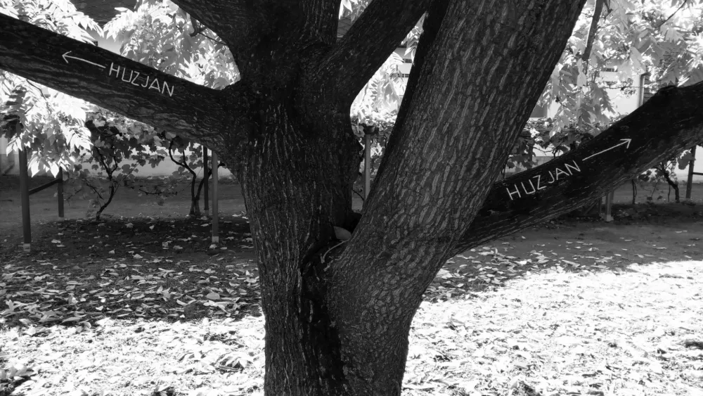 Potujoči projekt Ištvana Išta Huzjana Sava - Mura F osebni arhiv umetnika