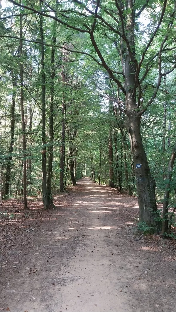 Priljubljena izletniška točka, kot zelena dnevna soba nad mestom