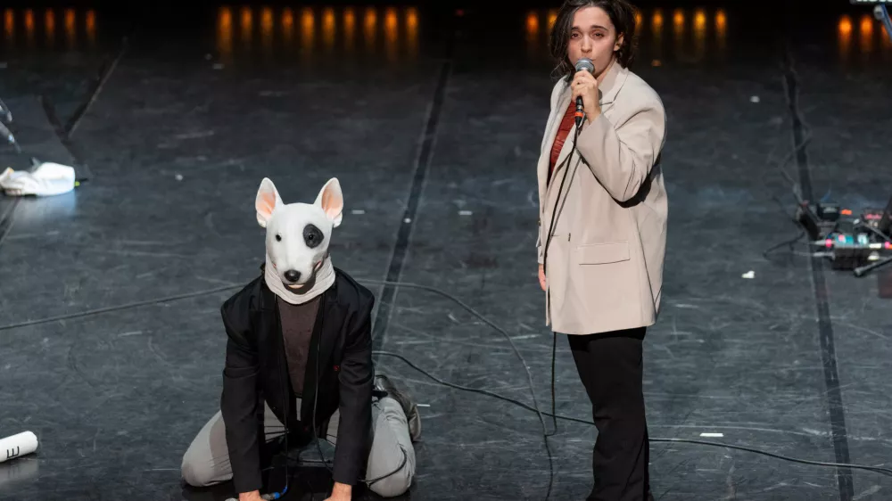 Smrdljivi koncert na štirih tacah, Mladi levi