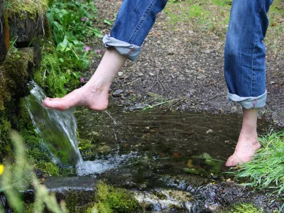 Kneipp cure in the great outdoors, cooling the feet at the source during the hike, promoting blood circulation, doing something good for your health / Foto: Birgit Puck
