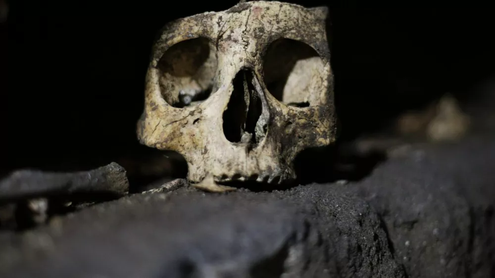 ﻿A skull is pictured inside the catacomb of Priscilla in Rome November 19, 2013. The catacomb, used for Christian burials from the late 2nd century through the 4th century, reopened on Tuesday to the public after years of restoration. The complex will also be viewable in a dedicated section of Google Maps, according to a Vatican press release. REUTERS/Max Rossi (ITALY - Tags: SOCIETY TRAVEL)