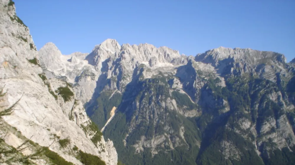 SKRLATICA KJER TISINA SEPETA