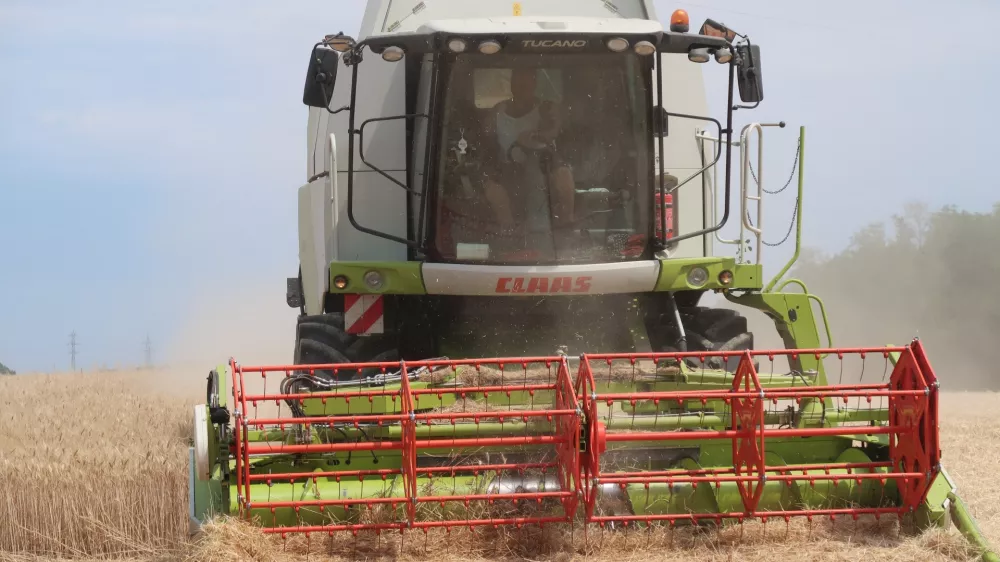 Goričko, kmetijstvo, njiva, pšenica, žetev, kombajn. Foto: Tatjana Pihlar 