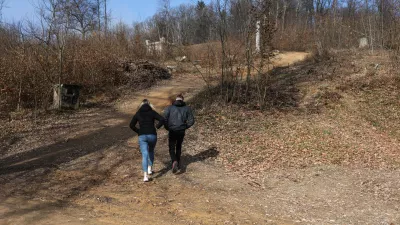 - 20.02.2024. - Območje lanskoletnega poseka dreves pod Rožnikom.//FOTO: Bojan Velikonja / Foto: Bojan Velikonja