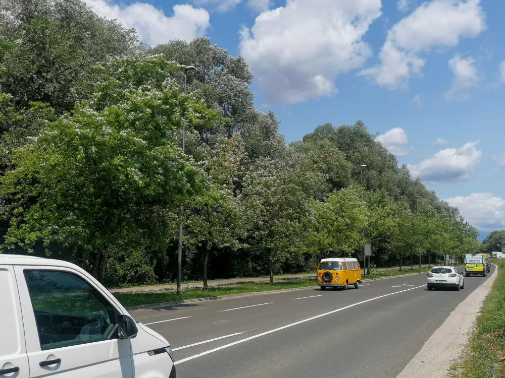 25.07.2024. Zaraščena parcela ob Barjanski cesti v Ljubljani. Foto: Bojan Velikonja