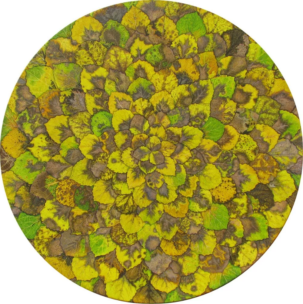 Mateja Kavčič, Trepetlika, 2009, pigmenti in akrilna emulzija na platnu, Φ 80 cm. Z dovoljenjem umetnice.