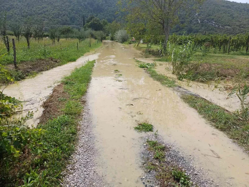 Dragonja 29. 8. Foto: Okolje Piran