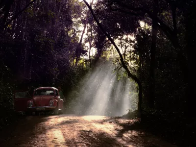 Nemška tovarna je v Braziliji prisotna že desetletja. Fotografija hrošča sredi brazilskega temačnega gozda je seveda simbolična. / Foto: Istock