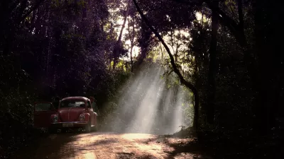 Nemška tovarna je v Braziliji prisotna že desetletja. Fotografija hrošča sredi brazilskega temačnega gozda je seveda simbolična. / Foto: Istock