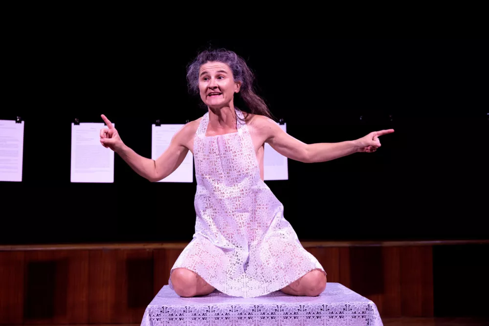 Festival Mladi levi navdušil z mladimi ustvarjalci in drznimi vsebinami