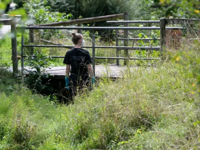 29 August 2025, Filderstadt: A policewoman stands by a bridge on the outskirts of Filderstadt. A suitcase with a body inside was found under a bridge by a small stream in Filderstadt. Photo: Markus Lenhardt/dpa,Image: 1032321503, License: Rights-managed, Restrictions: GERMANY OUT, Model Release: no