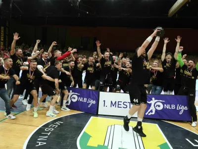 rokomet, slovan, gorenje, finale državnega prvenstva, ilija brozović