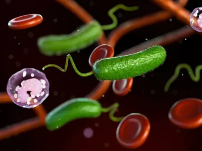 3D rendering of Vibrio vulnificus, red blood cells and white blood cells / Foto: Love Employee