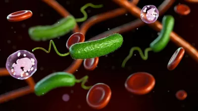 3D rendering of Vibrio vulnificus, red blood cells and white blood cells / Foto: Love Employee